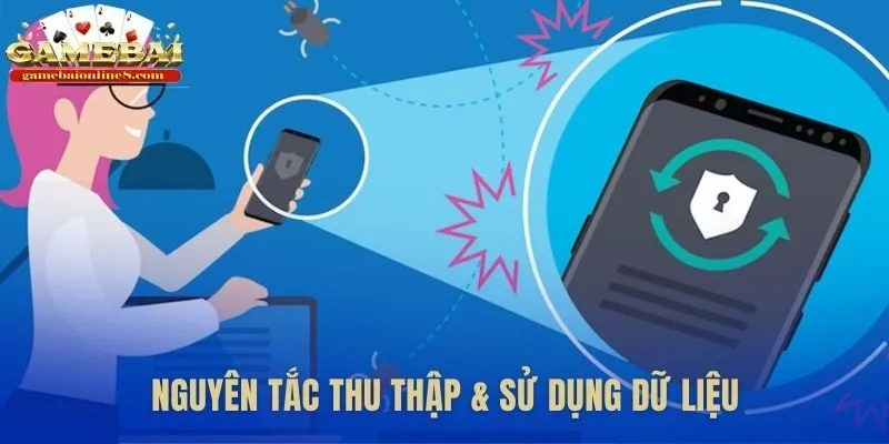 Nền tảng thu thập dữ liệu và cam kết quyền riêng tư